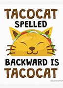 Image result for Space Cat and Taco Meme