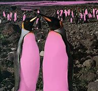 Image result for Pin the Penguin On The