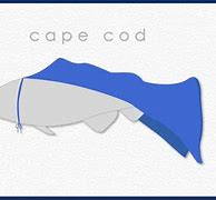 Image result for Funny Cape Cod Bag