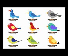 Image result for Birds for Kids