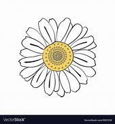 Image result for Hand Drawn Daisy Flower