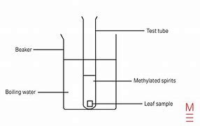 Image result for Test-Tube Rack Diagram