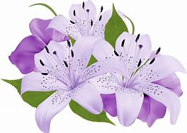 Image result for White Flowers with Purple Clip Art