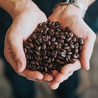 Image result for Coffee Beans