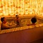 Image result for Spa Club Piscine