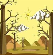 Image result for Dry Season Vector