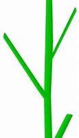 Image result for Green Stem Clip Art