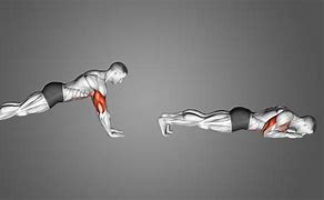 Image result for Push UPS for Arms