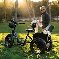 Image result for Fat Tire Trike