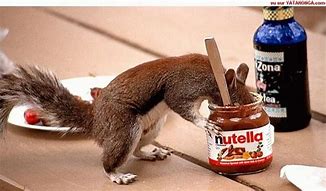 Image result for People Eating Nutella