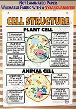 Image result for Cell Pathways Chart