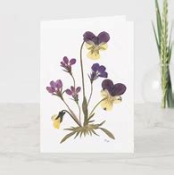 Image result for Pressed Flower Cards