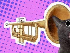 Image result for Trumpet Jokes