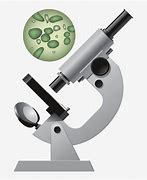 Image result for Science Microscope Clip Art