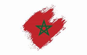 Image result for morocco flag vector