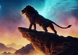 Image result for Lion HD Wallpaper in PC Desk