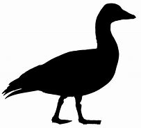 Image result for Snow Goose Decal