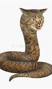 Image result for Cobra Snake Fangs