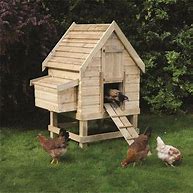 Image result for Chicken Coop