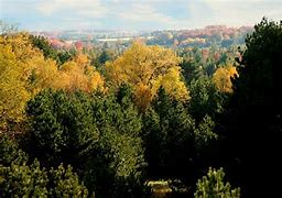 Image result for Reffitt Nature Preserve