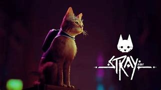 Image result for Stray PS4 Start