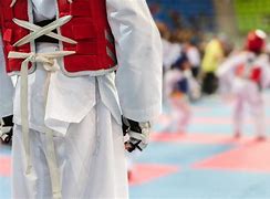 Image result for South Korean Taekwondo