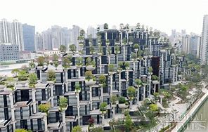 Image result for Shanghai Tower Sky Garden