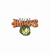 Image result for Boise Hawks Logo