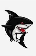 Image result for Black Cat Shark