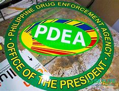 Image result for PDEA Academy Logo