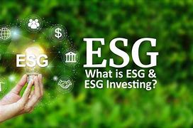 Image result for What Is ESG Investing