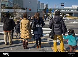 Image result for Tokyo Zebra Road