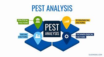 Image result for Pest Model