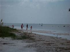 Image result for Apollo Beach Nature Preserve