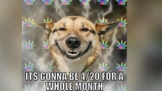 Image result for 420 Day Meme Willie Nelson