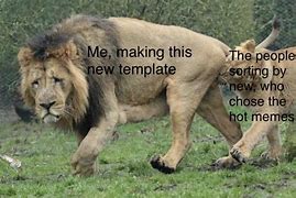 Image result for Murderous Lion Memes