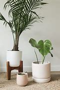 Image result for Unique Indoor Plant Pots