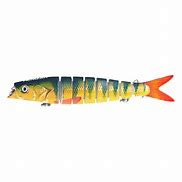 Image result for Fake Fishing Bait