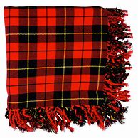 Image result for Kilt Scottish Plaid Flannel