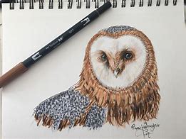 Image result for Diamond Eyes Art