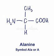 Image result for Alanine Chemical Structure