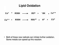 Image result for Lipid Oxidation