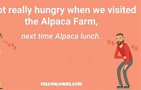 Image result for Alpaca Jokes