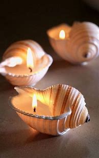 Image result for Seashell Crafts Ideas