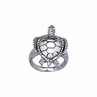 Image result for Turtle Age Ring