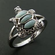 Image result for Turtle Age Ring