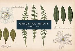 Image result for Gruit