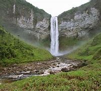 Image result for Book Stores in Guyana