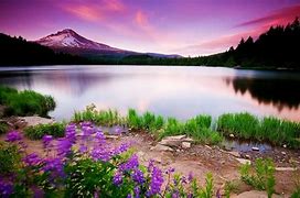 Image result for nature desktop wallpaper hd