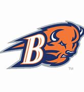 Image result for Bucknell Bison Sculpture